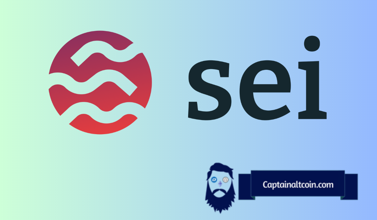 SEI价格：10倍电位会引发巨大的泵吗？